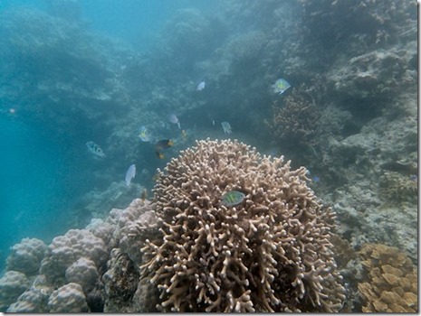 P8100879