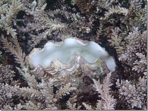 P8211050