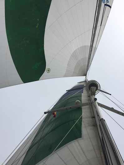 Kite Up