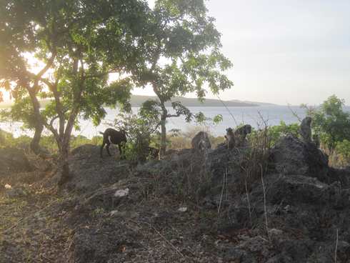m_IMG_8979.jpg
