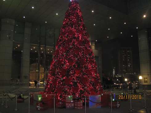 m_IMG_9504.jpg