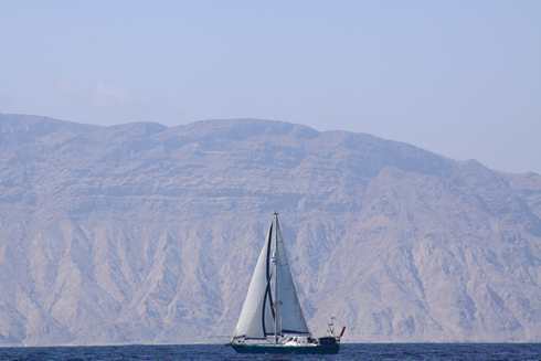 m_IMG_7075.jpg
