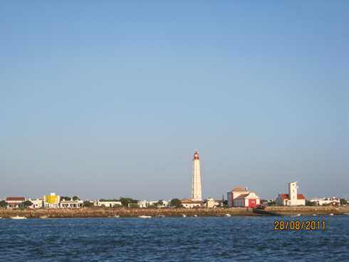 m_IMG_1972.jpg