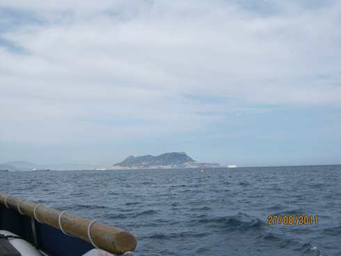 m_IMG_1965.jpg