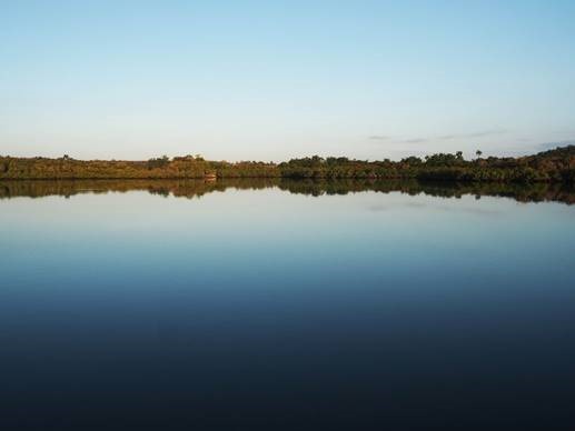 clip_image004