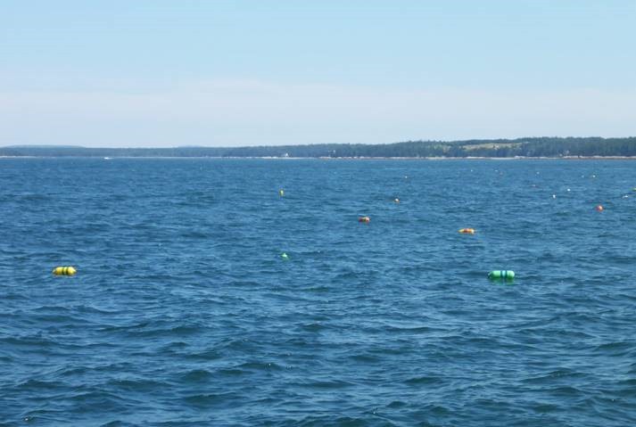 clip_image004