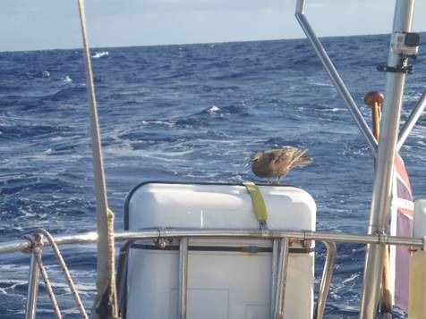 clip_image010