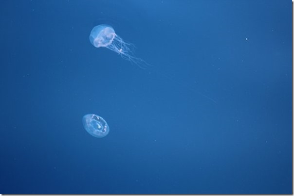 m_IMG_1451 (2)