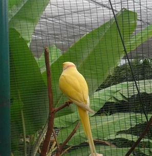 clip_image037