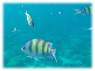 clip_image006