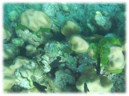 clip_image014