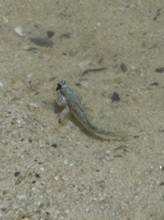 clip_image012
