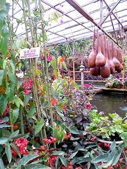 clip_image010