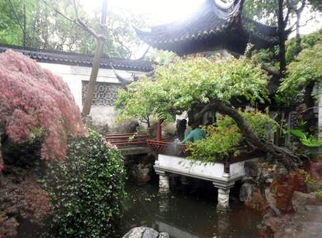 clip_image005