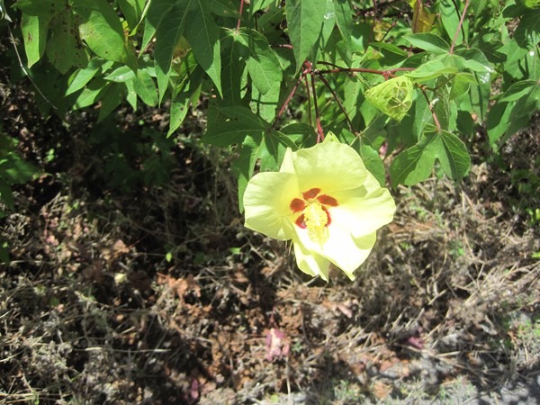 clip_image008