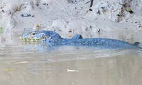m_IMG_0541