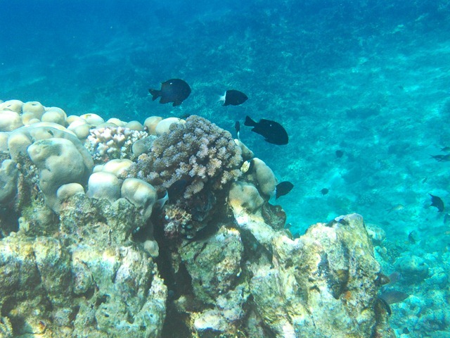 PHOT0064