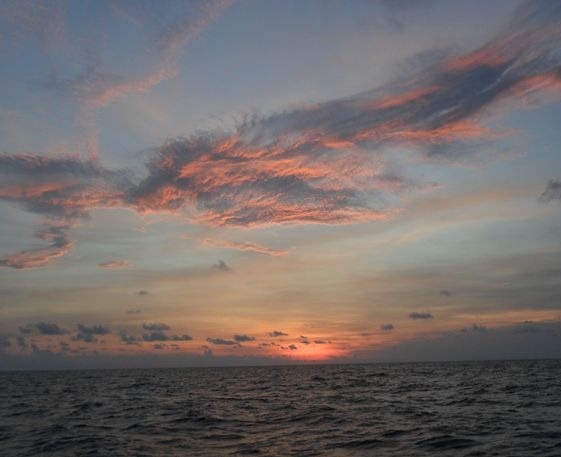 clip_image001