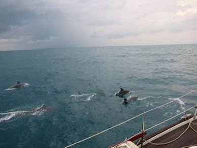 clip_image017