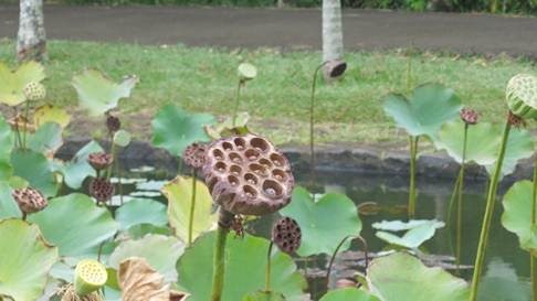 clip_image008