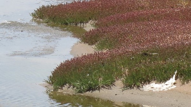 clip_image011