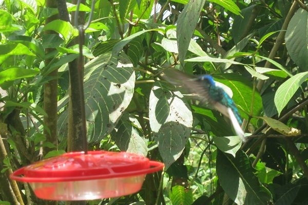 clip_image010