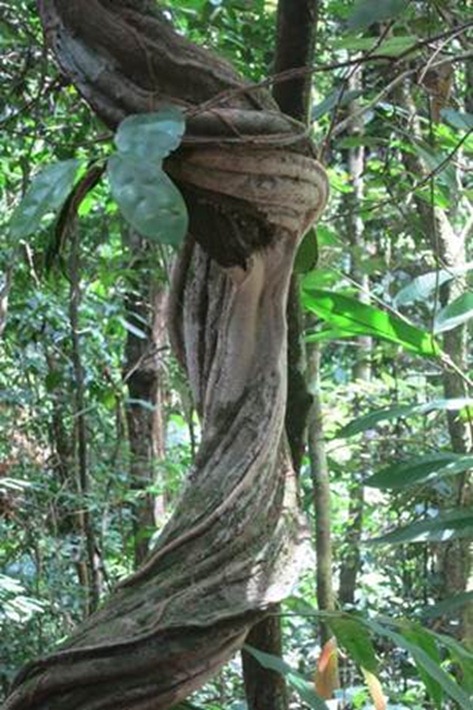 clip_image009
