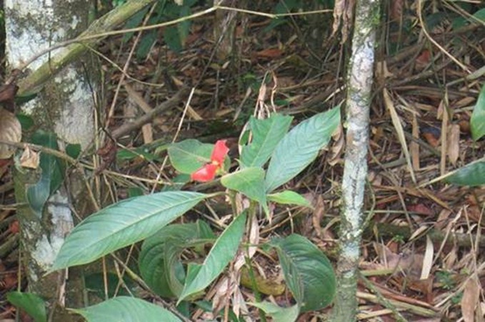 clip_image005
