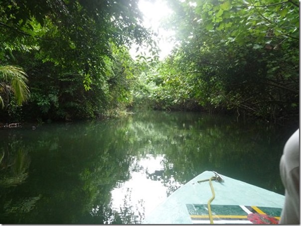 m_Indian River, Dominica-006