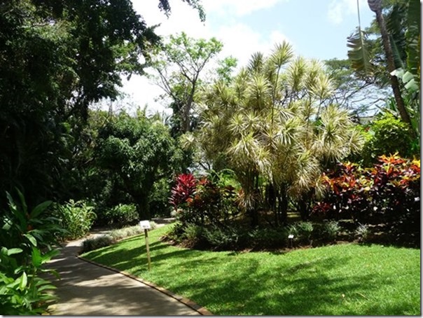 m_Jardin Botanique, Deshaies, Guadaloupe-041