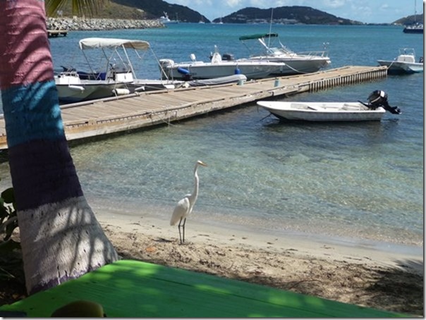 m_Trellis Bay 24-03-2015 11-10-12