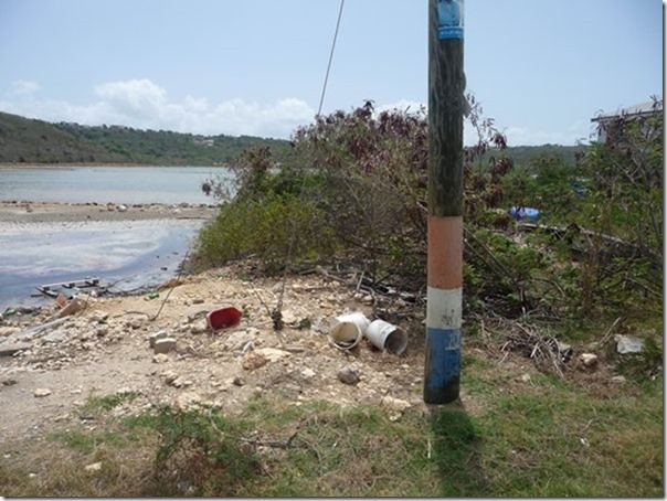 m_Anguilla 30-04-2015 10-51-24