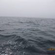 View album