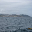 View album