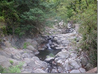 IMGP0909