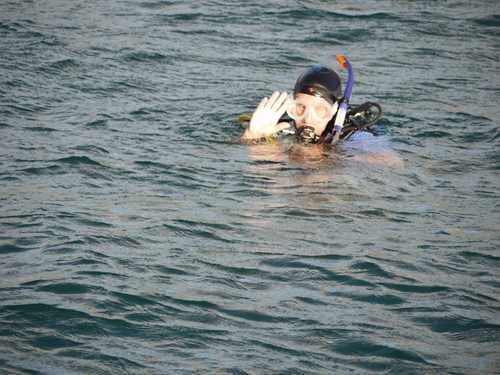 Diver.JPG
