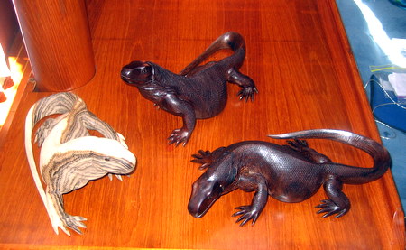 Our dragons