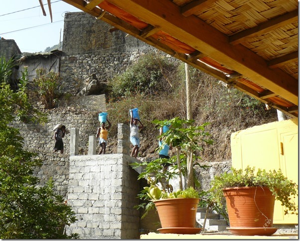 P1030617-001