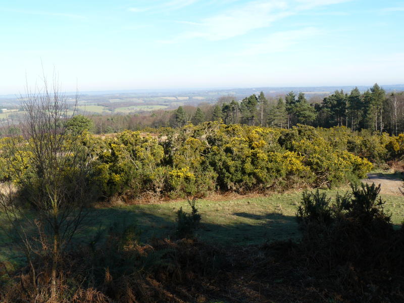 Sussex