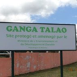 Ver álbum