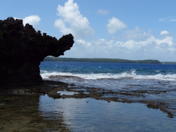 image3.JPG