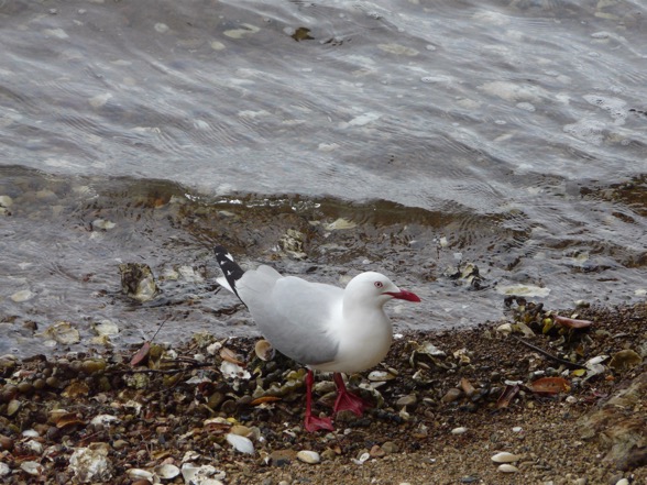 image5.JPG