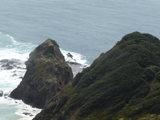 image4.JPG