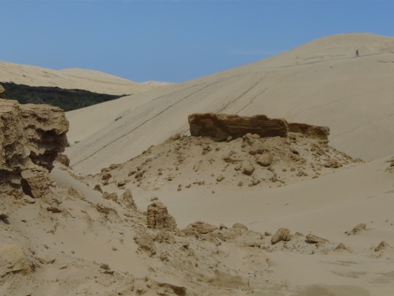image5.JPG