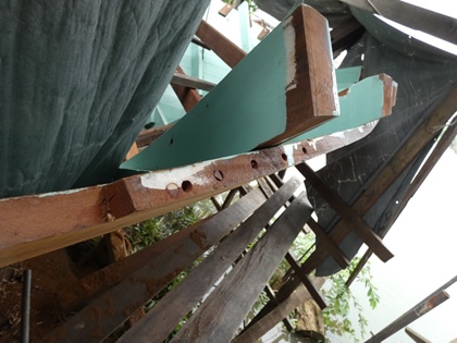 image5.jpeg