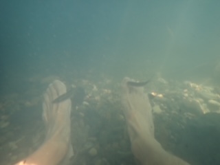 image5.jpeg