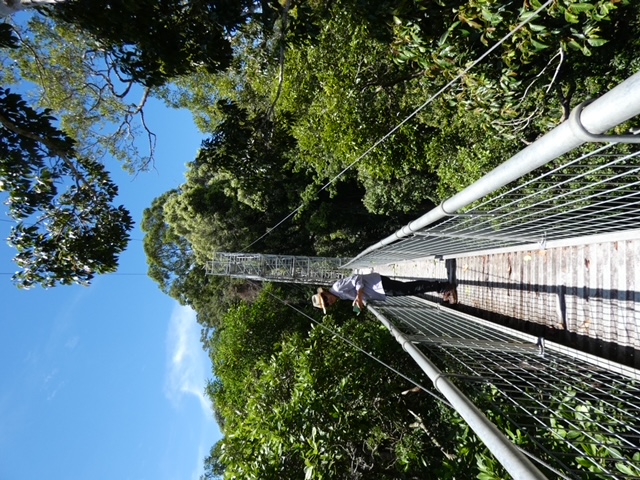 image4.jpeg