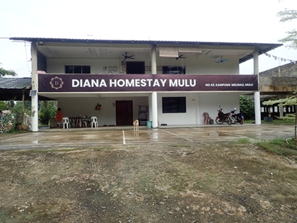 P7157249.jpg