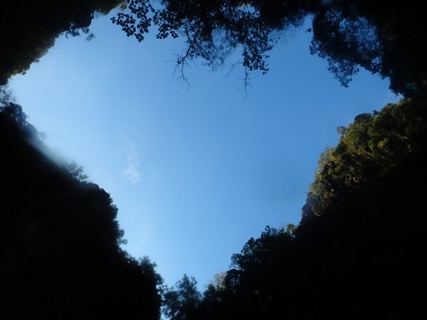 image10.jpeg