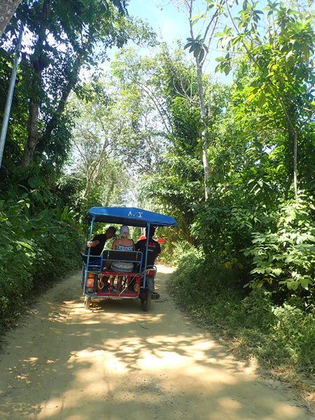 image7.jpeg